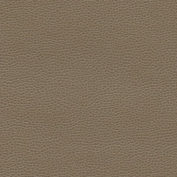 Promessa® - Desert Taupe